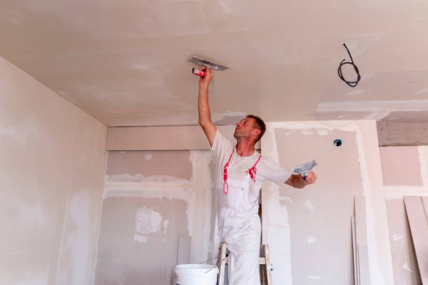 Best Acoustic or Soundproof Drywall Installation  in Clarkson, KY